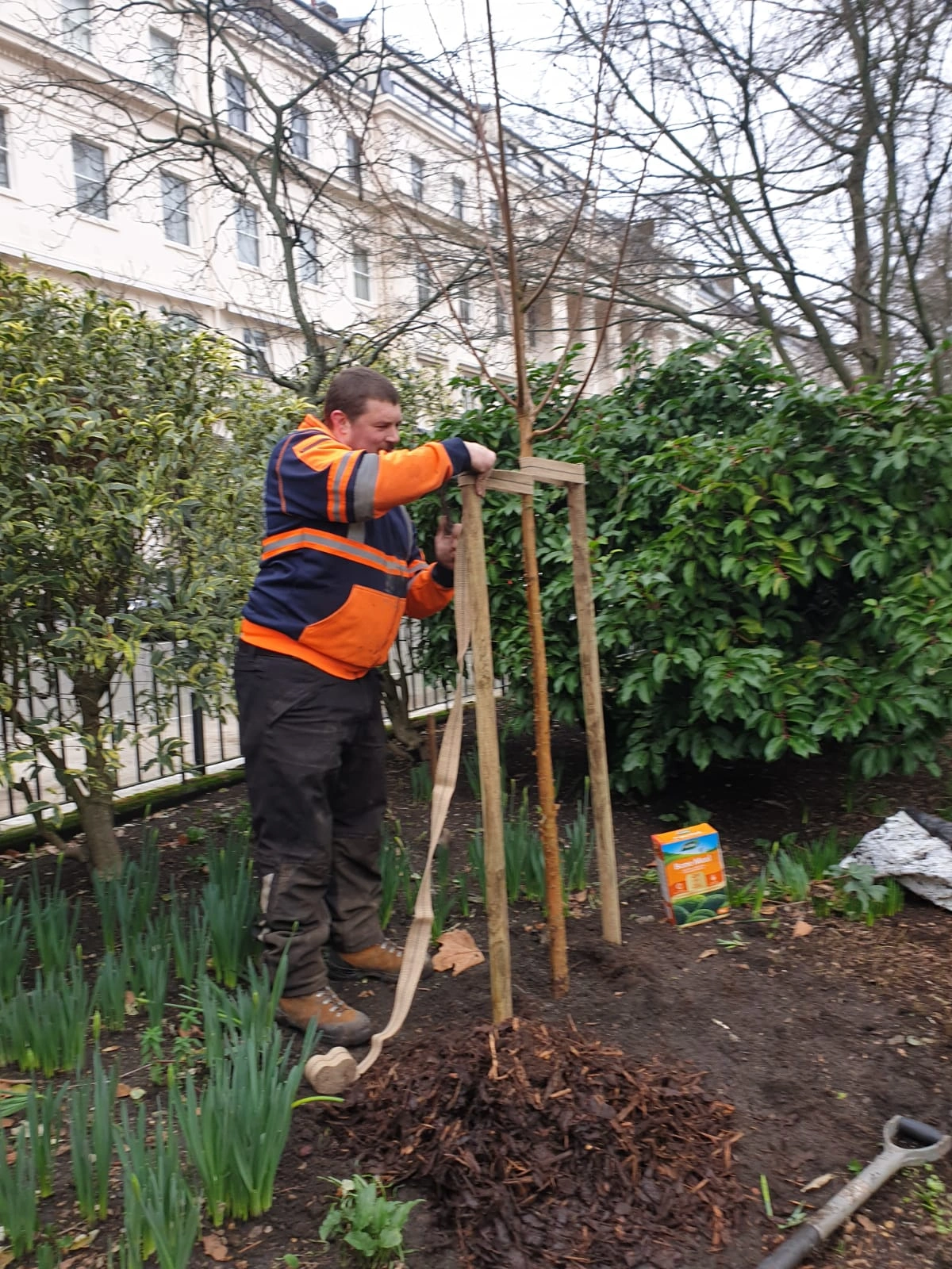 Tree Planting Specialists